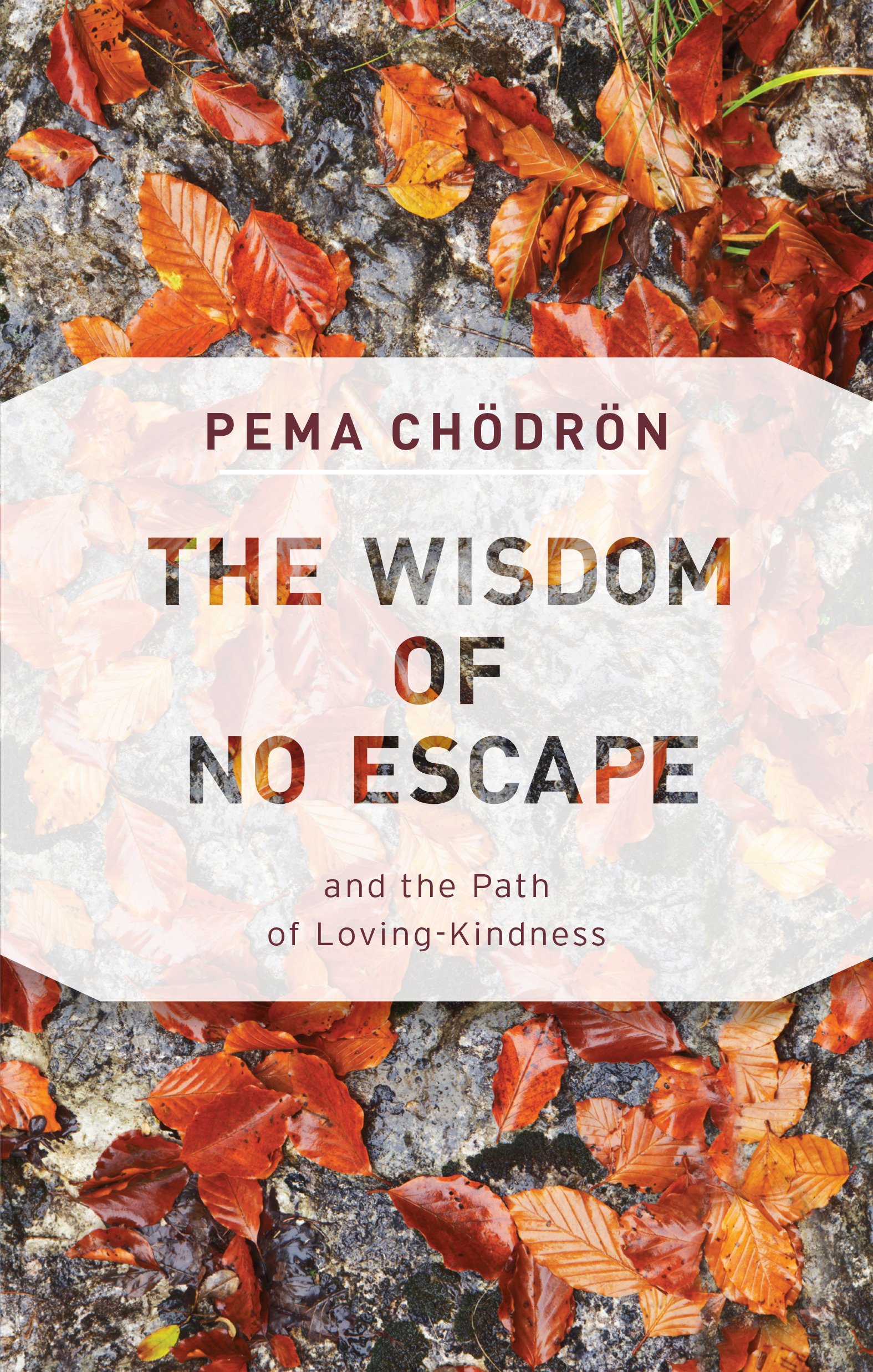 The Wisdom of No Escape and the Path of Loving-Kindness